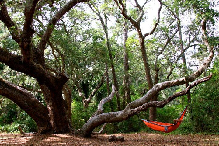 St. Simons Island Ocean Walk Resort 1Br Mgr American Dream المظهر الخارجي الصورة